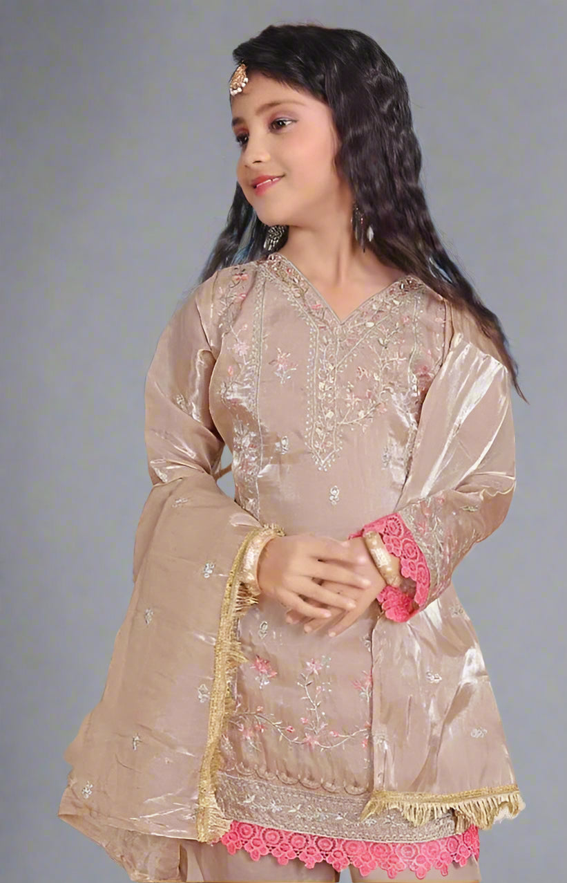 Pink Organza Gharara